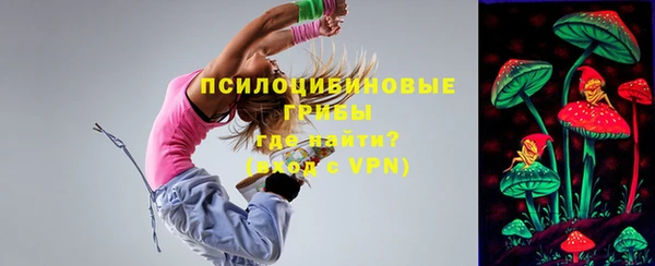 a pvp Алзамай